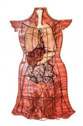 Anatomical Wall Hanging Dress Form