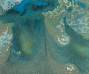 Mayco Elements Chunkies Glaze - EL208 - Moss Creek - 4 Ounce Jar