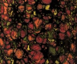 Mayco Jungle Gems Crystal Glaze - CG 970 - Masquerade - 4 Ounce Jar