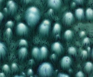 Mayco Jungle Gems Crystal Glaze - CG 974 - Bloomin' Blue - 4 Ounce Jar