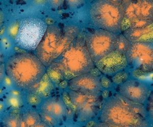 Mayco Jungle Gems Low Fire Crystal Glaze For Ceramics- CG 983 - Koi Pond - 4 Ounce Jar