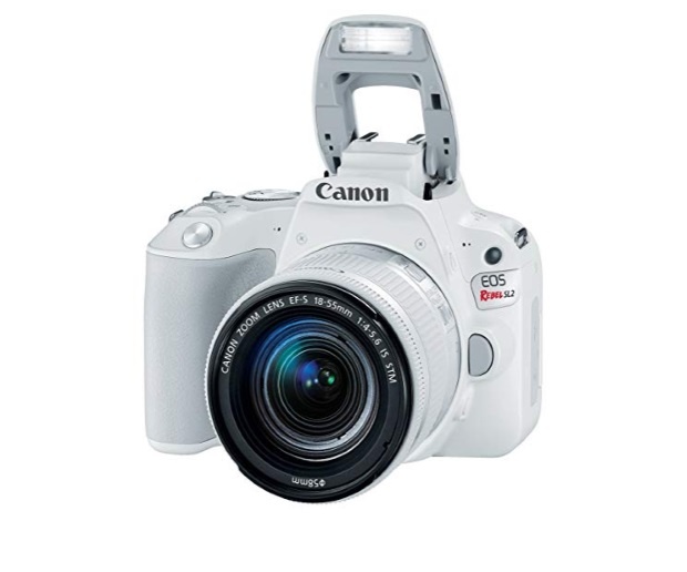 Canon EOS Rebel SL2 DSLR Camera