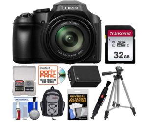 Panasonic Lumix DC-FZ80 4K Bundle