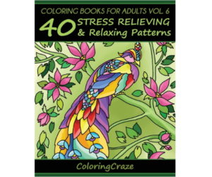 Coloring Books For Adults Volume 6