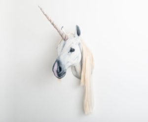 Unicorn Head by Broken Hare