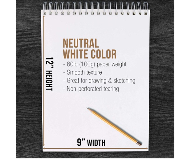 U.S. Art Supply 9" x 12" inch Sketch Pad
